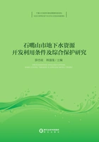 石嘴山市地下水资源开发利用条件及综合保护研究在线阅读