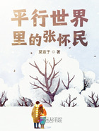 平行世界里的张怀民在线阅读
