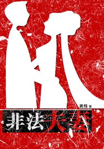 非法夫妻