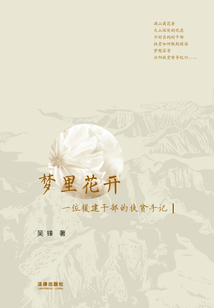 夢(mèng)里花開(kāi):一位援建干部的扶貧手記
