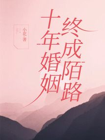 十年婚姻，终成陌路在线阅读