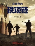 白银色的铁项链在线阅读