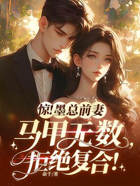 惊!墨总前妻马甲无数,拒绝复合!在线阅读