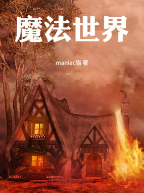 魔法世界在线阅读