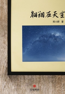 翱翔在天空