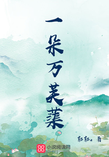 一朵萬芙蕖