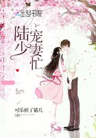陆少,宠妻忙