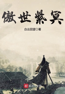 傲世紫冥 cover