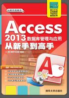 Access 2013 数据库管理与应用从新手到高手在线阅读