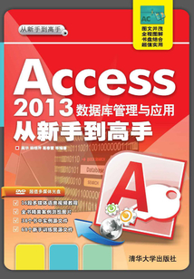Access 2013 數(shù)據(jù)庫管理與應(yīng)用從新手到高手
