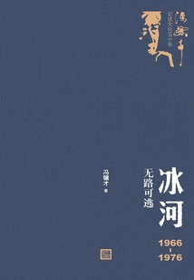 冰河:1966—1976无路可逃