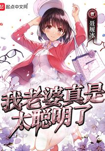 我老婆真是太聪明了在线阅读