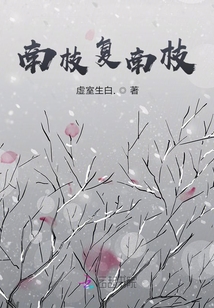 南枝復南枝