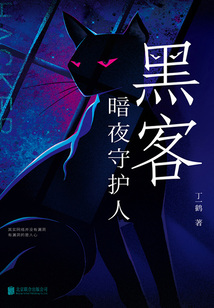 黑客:暗夜守护人