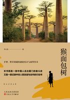 猴面包樹在線閱讀