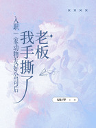 入职一家动物友好公司后,我手撕了老板在线阅读