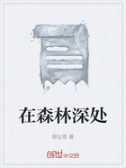 在森林深处在线阅读