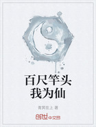 百尺竿头我为仙在线阅读