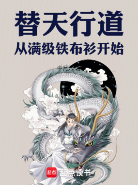 替天行道，从满级铁布衫开始在线阅读