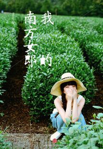 我的南方女郎