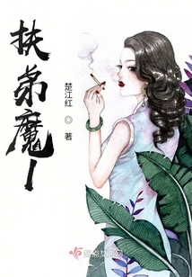 扶弟魔1