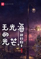無光海的光芒在線閱讀