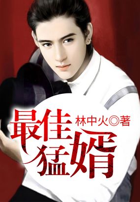 最佳上门女婿在线阅读