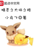 精靈之大師之路在線閱讀