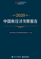 中国新经济发展报告2020