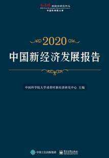 中國新經濟發展報告2020