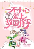 一不小心爱上敌国将军在线阅读