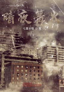 暗夜篝火