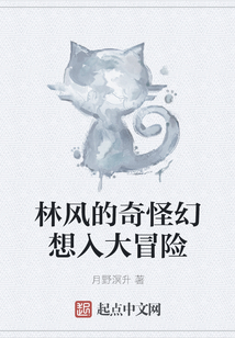 林風的奇怪幻想入大冒險