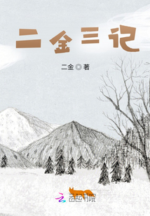二金三记