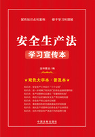 安全生产法学习宣传本（双色大字本·普及本）在线阅读