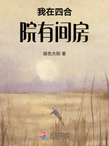 我在四合院有間房