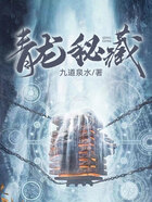青龙秘藏在线阅读