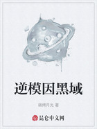 逆模因黑域在线阅读