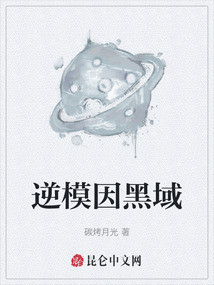 逆模因黑域