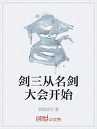 劍三從名劍大會開始在線閱讀