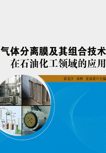 氣體分離膜及其組合技術在石油化工領域的應用