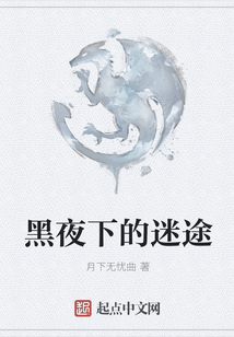 黑夜下的迷途