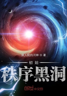 初始秩序黑洞
