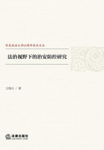 法治視野下的治安防控研究