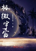 极微宇宙