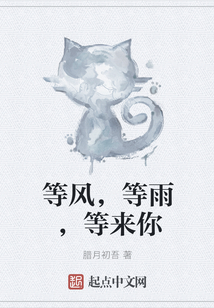 等風，等雨，等來你