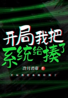开局我把系统给揍了
