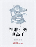 神雕:绝世高手在线阅读
