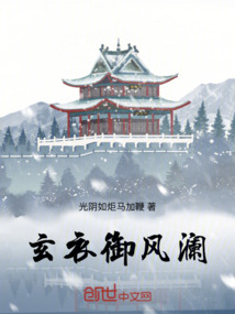 玄衣御風瀾