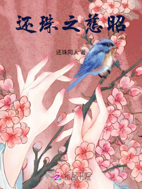 还珠之慈昭在线阅读